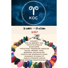 Gümüştel El Sanatları Burç Taşı Koç Burcu Sedef Taşı Bileklik