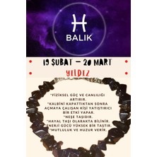 Gümüştel El Sanatları Burç Taşı Balık Burcu Yıldız Taşı Bileklik