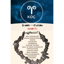 Gümüştel El Sanatları Burç Taşı Koç Burcu Hematit Taşı Bileklik