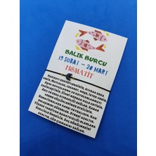 Gümüştel El Sanatları Balık Burcu Hematit Doğal Taş Ip Burç Bilekliği