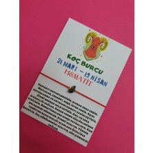 Gümüştel El Sanatları Koç Burcu Hematit Doğal Taşlı Ip Burç Bilekliği