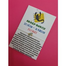 Gümüştel El Sanatları Akrep Burcu Florit Doğal Taşlı Ip Burç Bilekliği