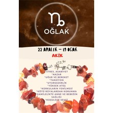 Gümüştel El Sanatları Burç Taşı Oğlak Burcu Akik Taşı Bileklik