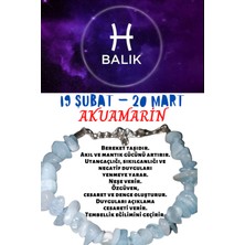 Gümüştel El Sanatları Balık Burcu Burç Bilekliği