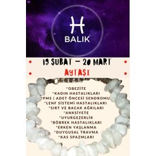 Gümüştel El Sanatları Burç Taşı Balık Burcu Aytaşı Bileklik