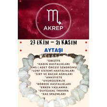 Gümüştel El Sanatları Burç Taşı Akrep Burcu Aytaşı Bileklik