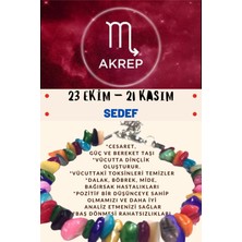Gümüştel El Sanatları Burç Taşı Akrep Burcu Sedef Taşı Bileklik