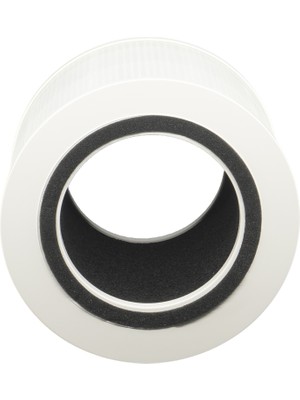 TCL Breeva A1C Hava Filtresi