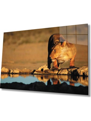 Eliza Home  Aslan Cam Tablo