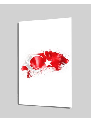 Eliza Home   Türk Bayrağı ve Pars Cam Tablo