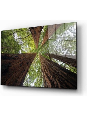 Eliza Home  Doğa Tablo