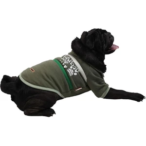 Yeşil Baseball Ceket Sweat Kedi Köpek Ceketi Kedi Köpek Kıyafeti