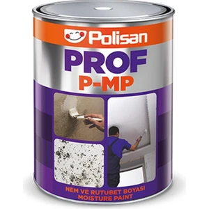 Prof P-Mp Nem ve Rutubet Boyası 2,5 Kg.
