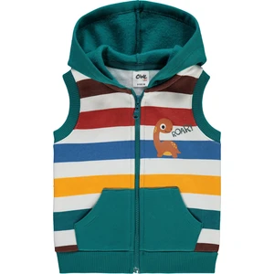 Civil Baby Erkek Bebek Kapüşonlu Yelek 6-18 Ay Petrol Yeşili