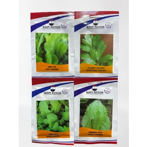 Raın Seeds Sebze Tohumu 4'lü Set1 ( Tere- Maydonoz- Roka- Marul ) Set1