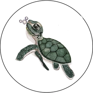 Agu Patch- Denız Kaplumbağası Shelly
