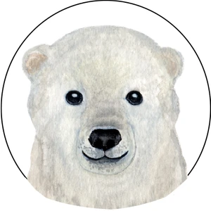 Agu Patch - Kutup Ayisi Po Siyah Deri