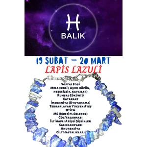 Gümüştel El Sanatları Burç Taşı Balık Burcu Lapis Lazuli Taşı Bileklik