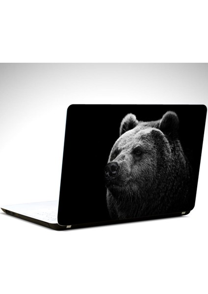 Ayı Laptop Sticker