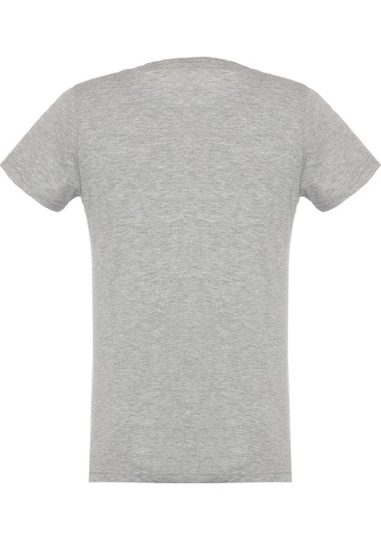 Ss T-Shirt Iconic Açık Gri Kadın Tişört - 502.176088-C5493 fırsatları