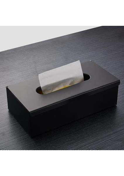Siyah Gömme Tuvalet / Doku Kağıt Tutucu Tüm Metal Konstrüksiyon 304 Paslanmaz Çelik Çift Duvar Banyo Rulo Kağıt Kutusu (Siyah) (Yurt Dışından) fiyatları