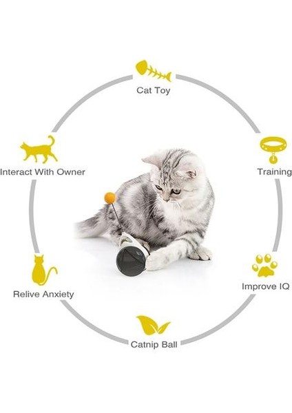 Komik Kedi Oyuncak Catnip Teaser Değnek ile Interaktif Düzensiz Dönen Pet Kedi Topu Oyuncak Öz Denge Tumbler Kitten Oyun Eğitimi | Kedi Oyuncakları (Yurt Dışından)