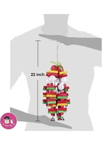 Kuş Oyuncakları Çiğneme Oyuncaklar Büyük Orta Pet Parrot Cockatiel Parakeet Renkli Ahşap Bloklar Salıncak Gıda Sınıfı Oyuncaklar | Kuş Oyuncakları (Yurt Dışından) fiyatları