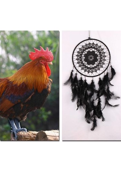 1 Adet Yeni Doğal Tüy Büyük Dantel Dreamcatcher Ev El Sanatları Süsler Araba Dekorasyon Siyah Bahçe Rüzgar Çanları Duvar Asma | Rüzgar Çanları ve asılı Süslemeler (Yurt Dışından)