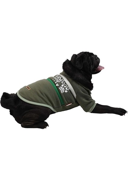Yeşil Baseball Ceket Sweat Kedi Köpek Ceketi Kedi Köpek Kıyafeti