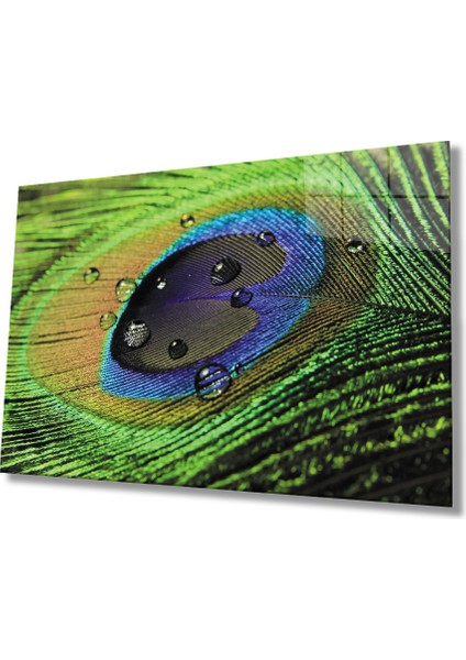 Eliza Home Tavuskuşu Tüy Cam Tablo Peacock