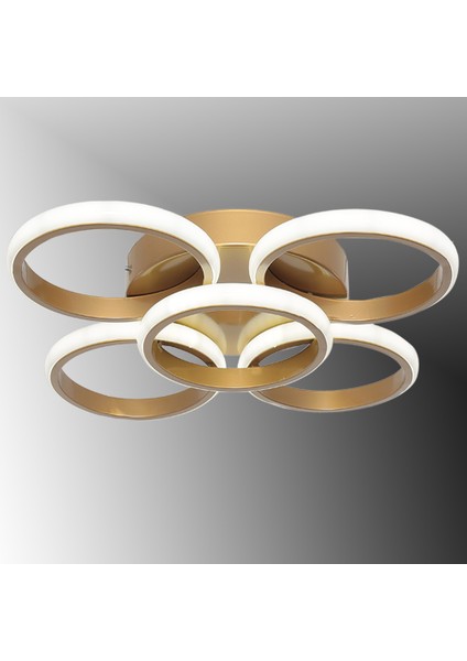 TT304-4+1-ESK Yuvarlak Tt Aydınlatma Eskitme Boyalı 5 Li LED Avize