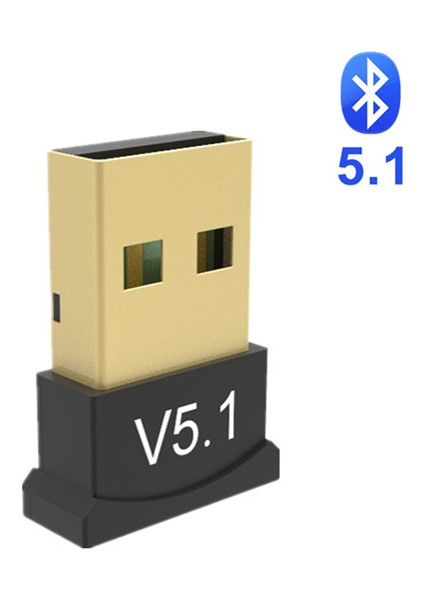 Bluetooth 5.1 USB 2.0 Kablosuz Ses Aktarım Adaptörü