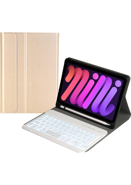 Apple iPad Mini (2021) Tablet Kılıfı (Yurt Dışından)