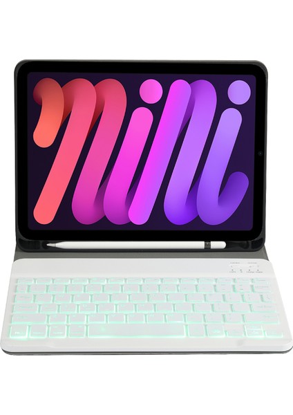 Apple iPad Mini (2021) Tablet Kılıfı (Yurt Dışından) fiyatları
