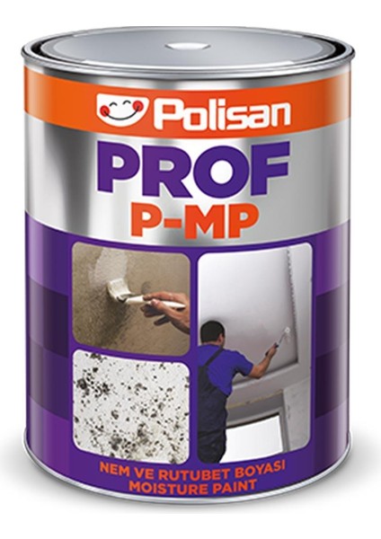 Prof P-Mp Nem ve Rutubet Boyası 2,5 Kg.