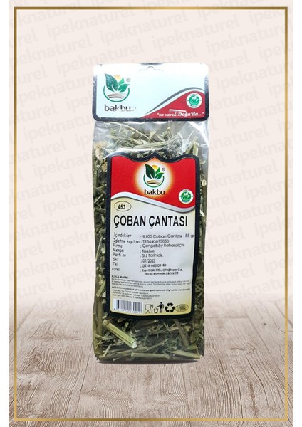 Çoban Çantası (Capsella Bursa-Pastoris)