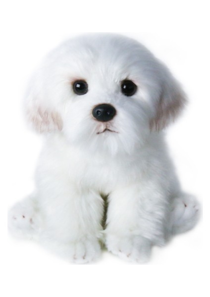 Sld Bichon Frize Yavru Malta Köpek Peluş Oyuncak - Beyaz (Yurt Dışından)