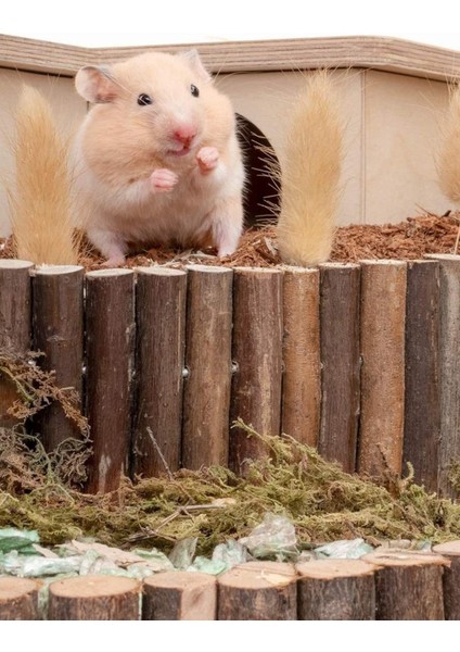 Hamster Fare Sıçan Kuşlar Için Eğlenceli Ahşap Merdiven Köprü
