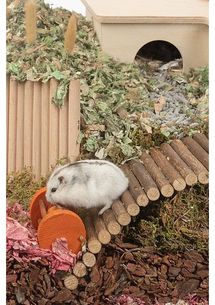 Hamster Fare Sıçan Kuşlar Için Eğlenceli Ahşap Merdiven Köprü
