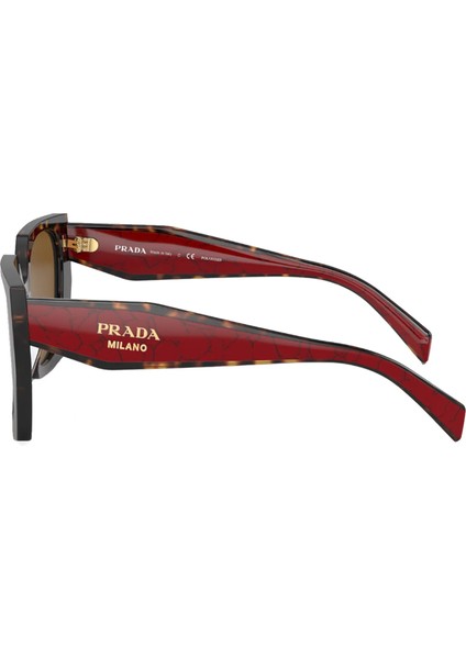 PR 15WS 2AU5Y1 54 Kadın Güneş Gözlüğü modelleri
