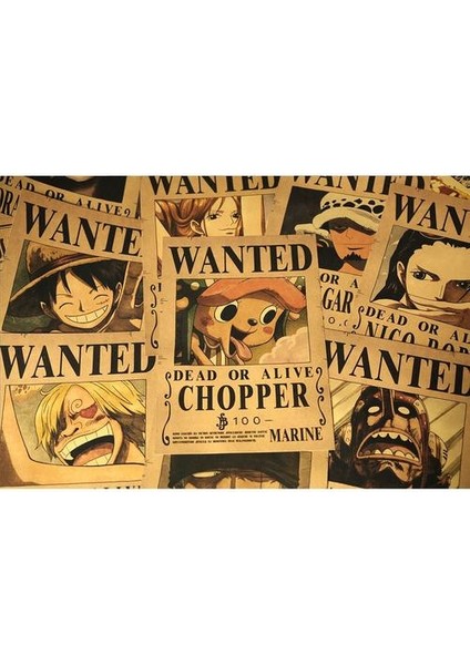 Takım Anime Vintage Poster Luffy Zoro Hasır Şapka (Yurt Dışından) fiyatları