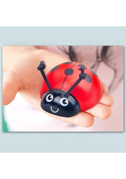 Ladybug Ahşap Eğitici Oyuncaklar (Yurt Dışından)