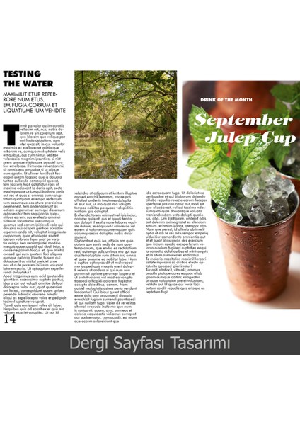 Indesign 2021 Video Ders Eğitim Seti