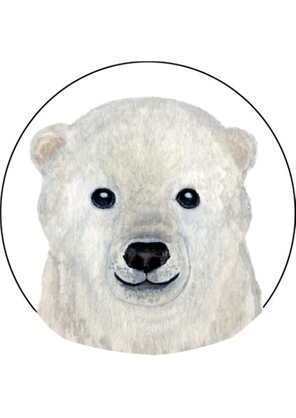 Agu Patch - Kutup Ayisi Po Siyah Deri