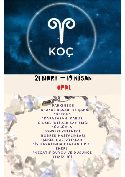 Koç Burcu Burç Bilekliği