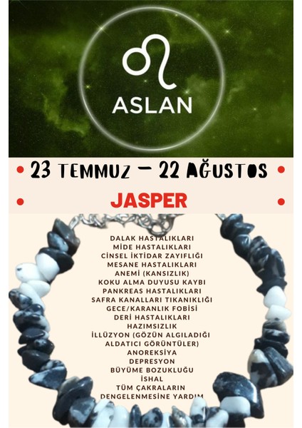 Aslan Burcu Burç Bilekliği