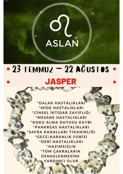 Burç Taşı Aslan Burcu Jasper Taşı Bileklik