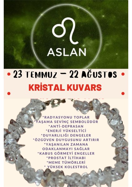 Aslan Burcu Burç Bilekliği