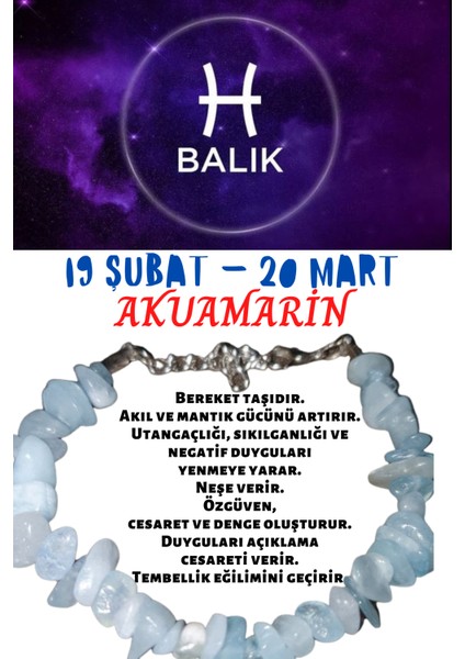 Balık Burcu Burç Bilekliği