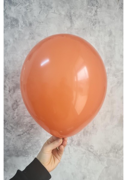 Toprak Renk Balon 10 Adet - 12 Inc 30 cm Parti Balonu